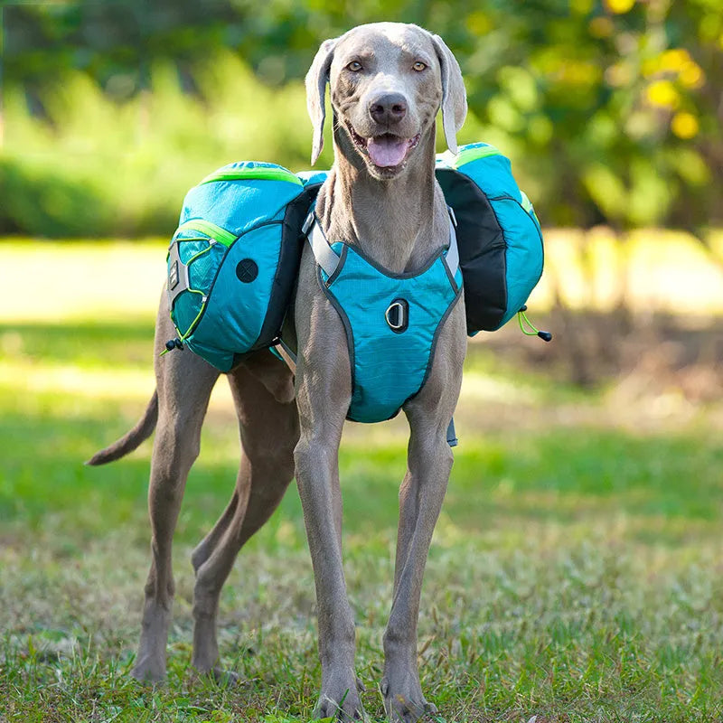 Pet Self Backpack in blue, detached and worn on chest, water-repellent polyester fabric, size S to XL for medium and large dogs