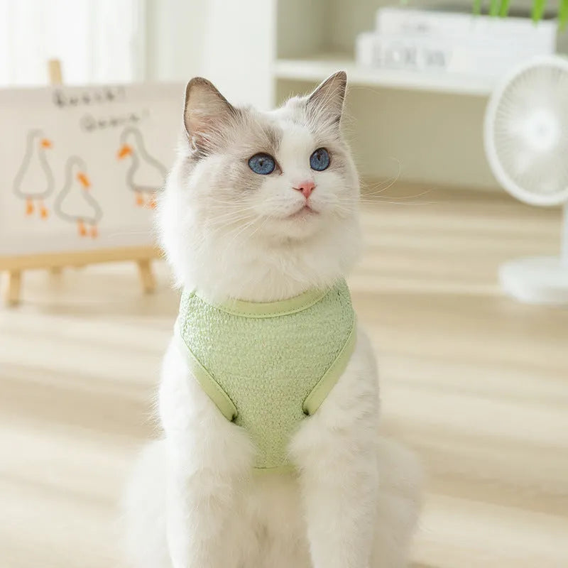 Cat wearing breathable hollowed-out knitted clothing with cartoon bear patch in blue colour
