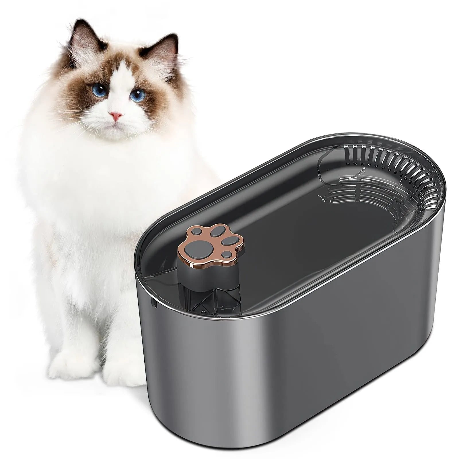 3 litre automatic pet water fountain in Berlin blue colour with LED light and filter system
