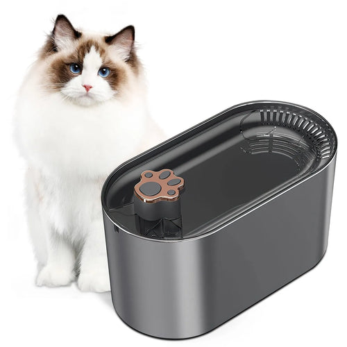 3 litre automatic pet water fountain in Berlin blue colour with LED light and filter system