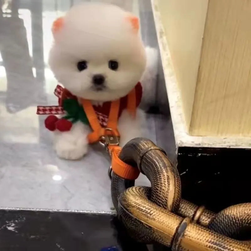 PP plastic dog walking leash and video prop in bronze, antique silver, or black colour options.