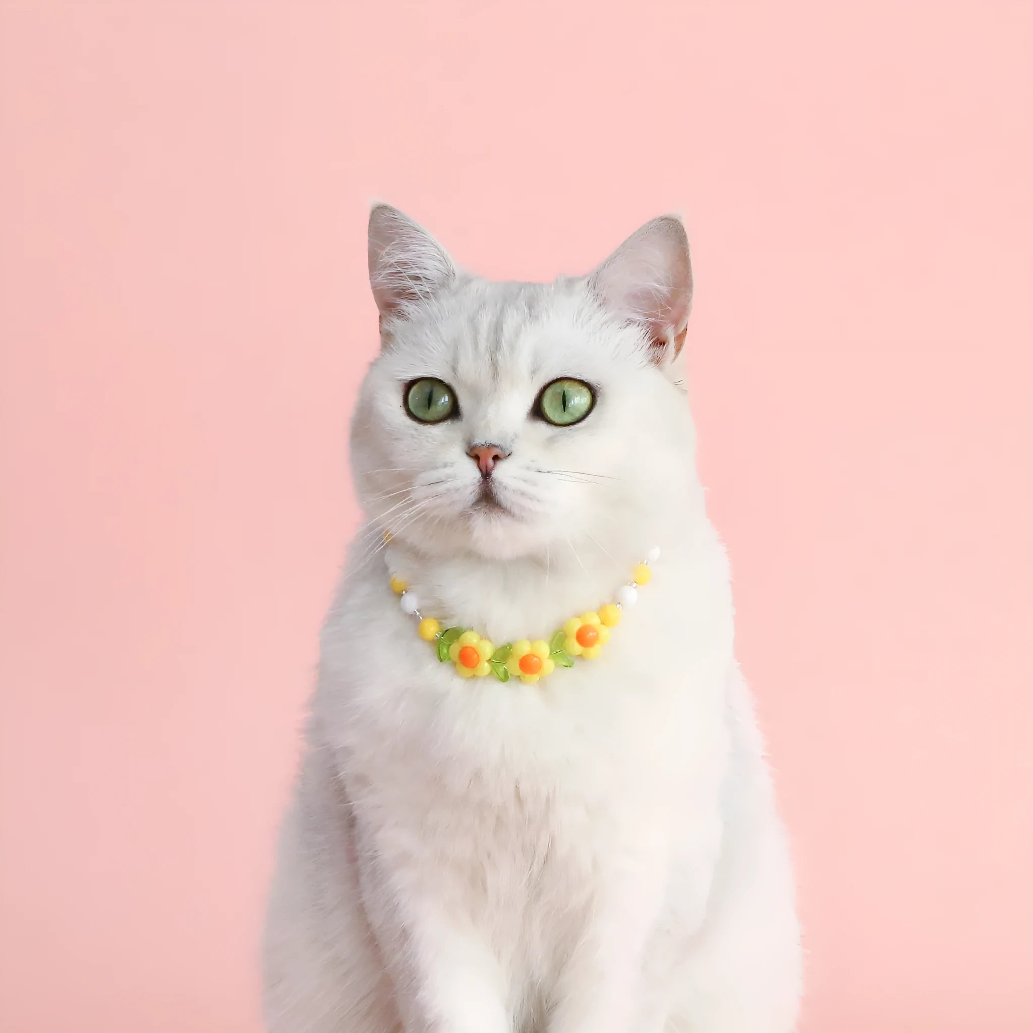 Colourful plastic pearl bead pet necklace with small flower pattern on adjustable strap