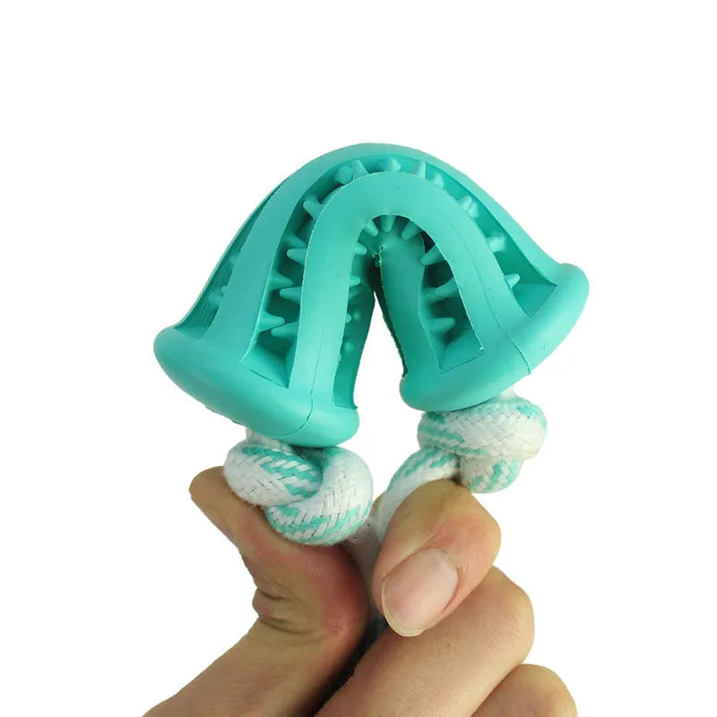 Dog molar toy in spherical, bone and rope shapes with size options – small 6cm, large 7cm, bone 15x5cm