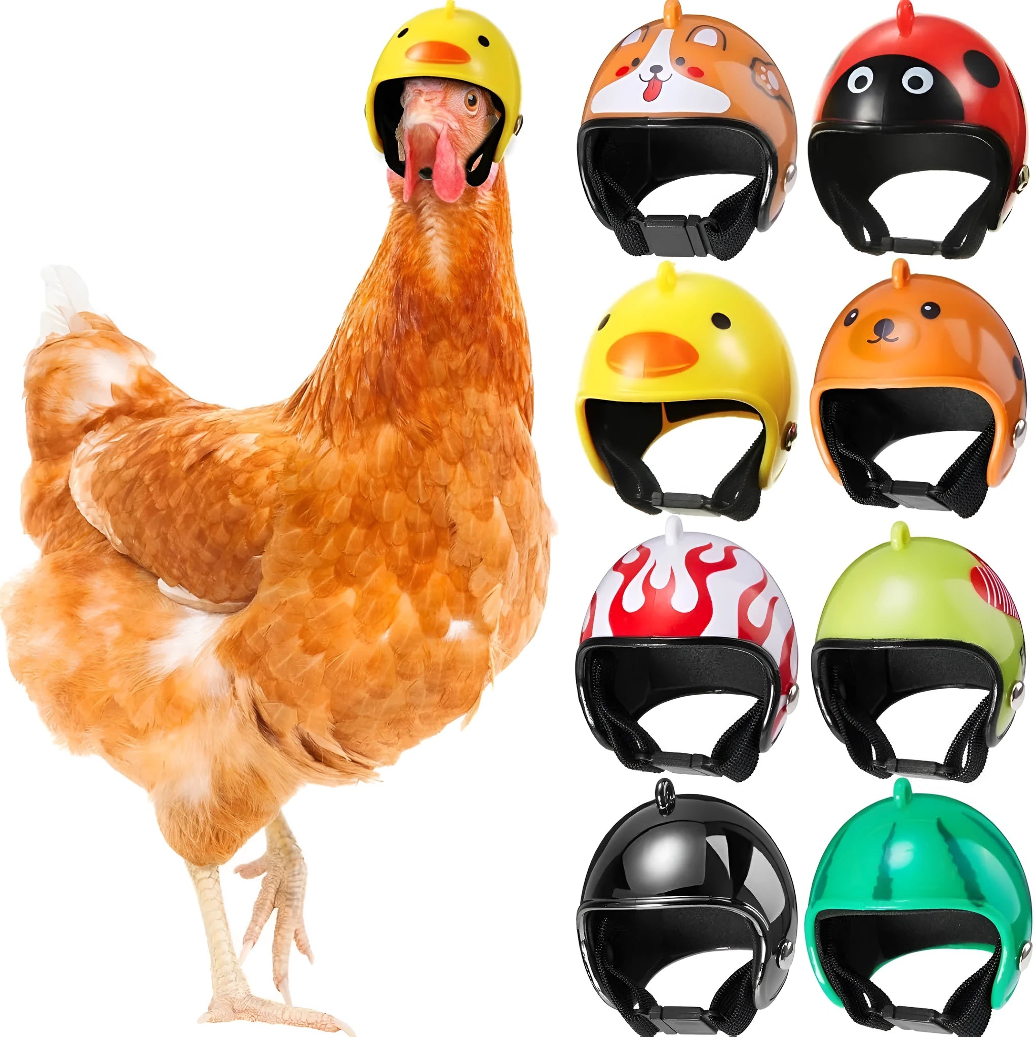 Small adjustable plastic helmet for chickens and birds with elastic bands and sponge lining