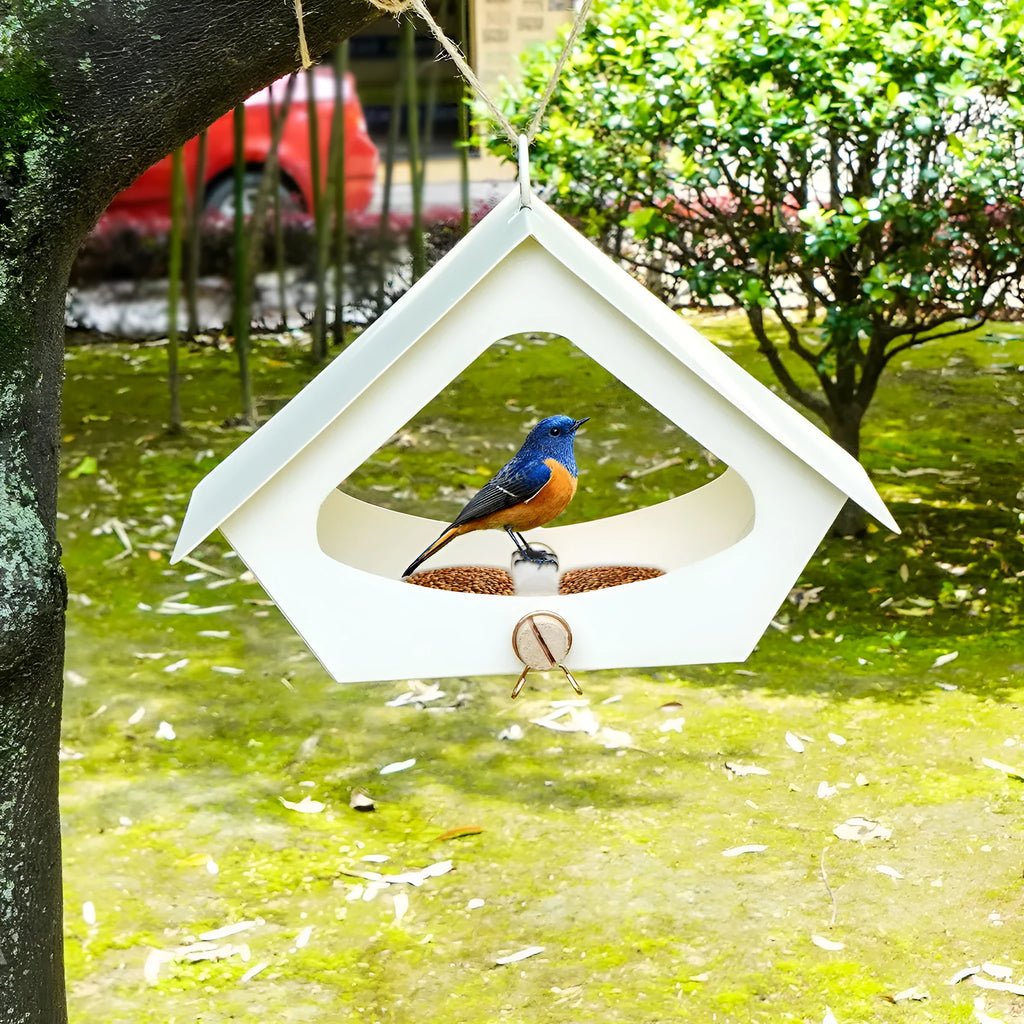 Modern European-style iron bird nest for outdoor garden bird feeding and decoration