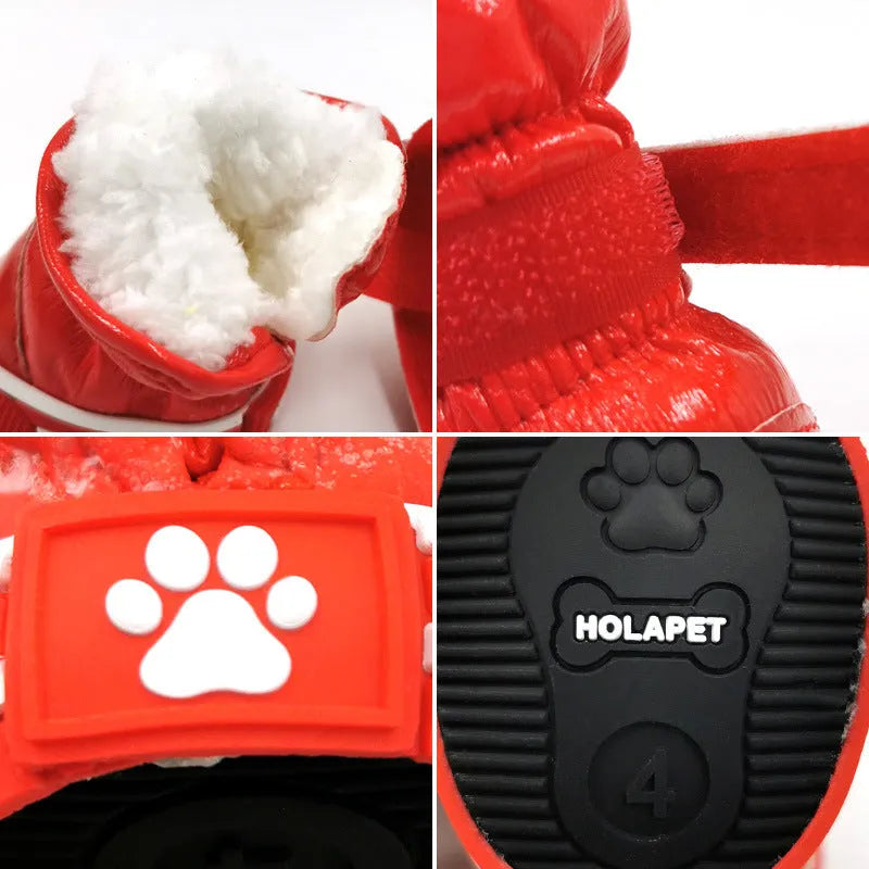 Dog cotton ski boots in four colours on a dog's paws for winter walking