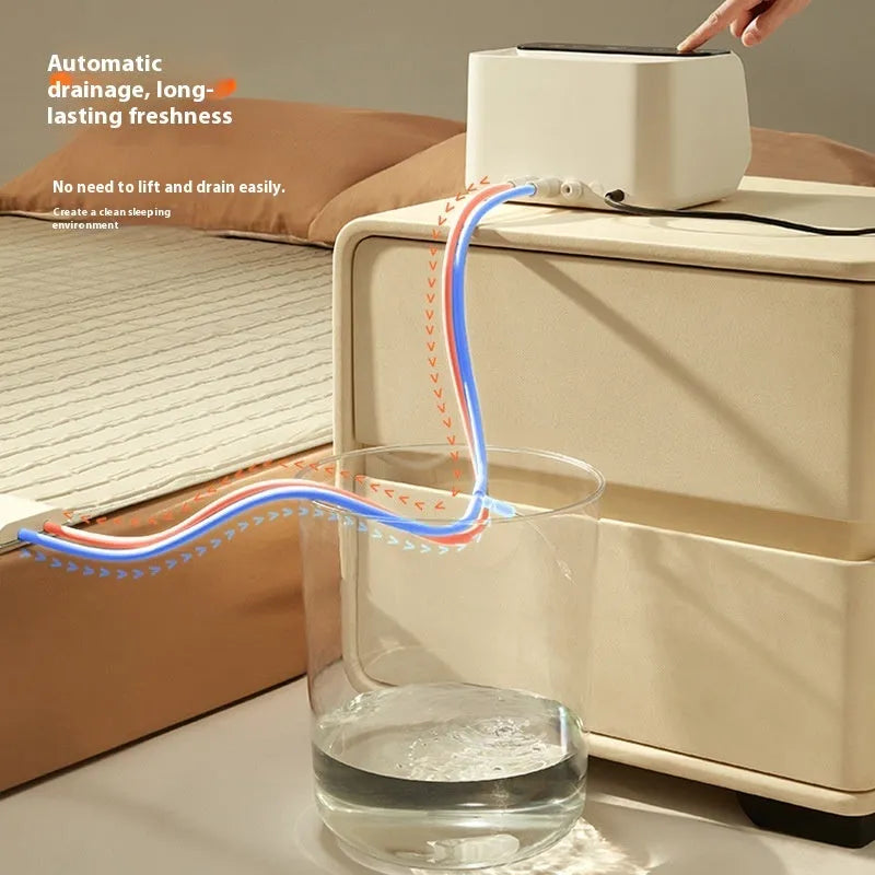 Aideng plush-top capsule water electric blanket shown in two sizes with smart host unit.