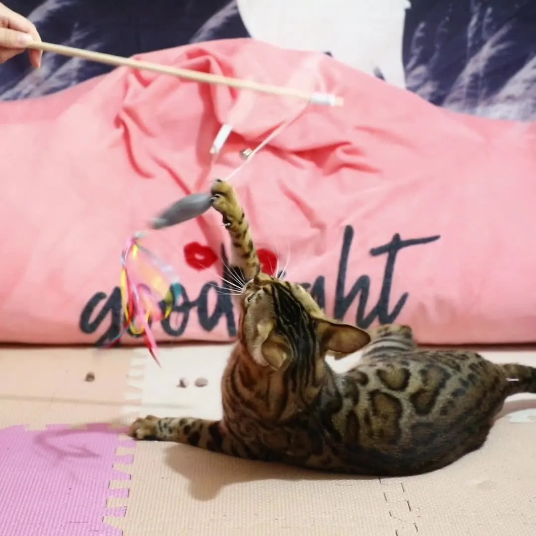 Colourful cat wand toy with ribbons, catnip fish, and bell on wooden handle