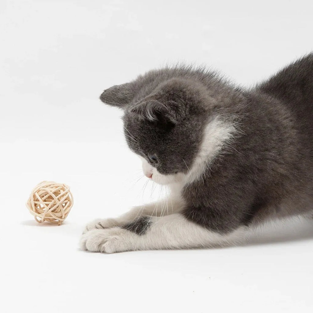 Two cat toys: a faux feather bell ball and a hollow rattan ball on a plain background.