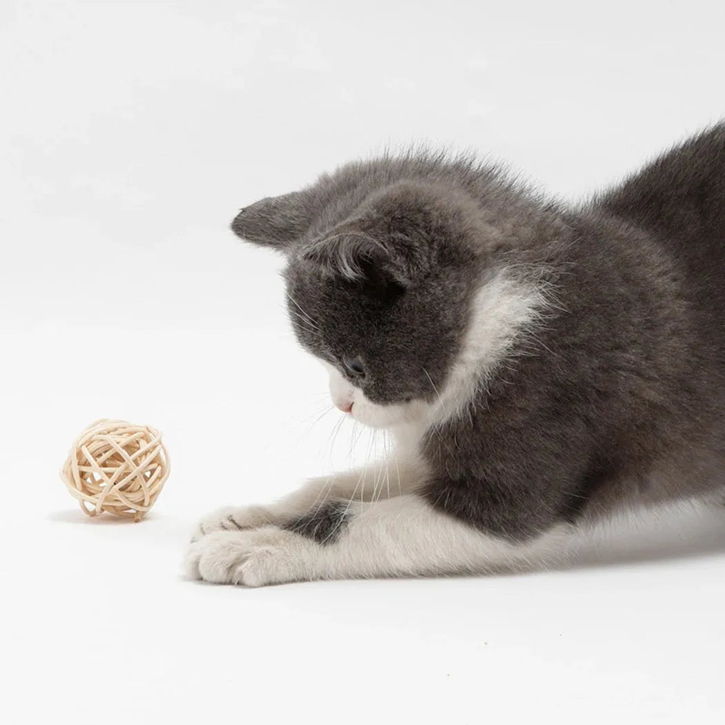 Two cat toys: a faux feather bell ball and a hollow rattan ball on a plain background.