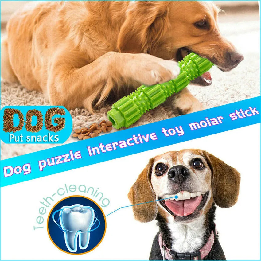 Green and orange rubber dog chew toy for aggressive chewers with treat dispensing feature