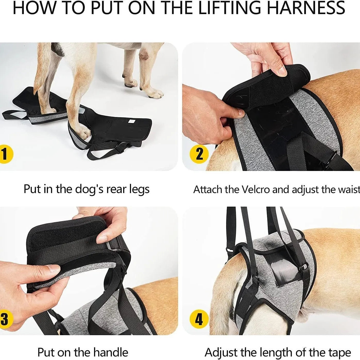 Grey neoprene dog recovery belt showing adjustable waist and thigh straps for hind leg support