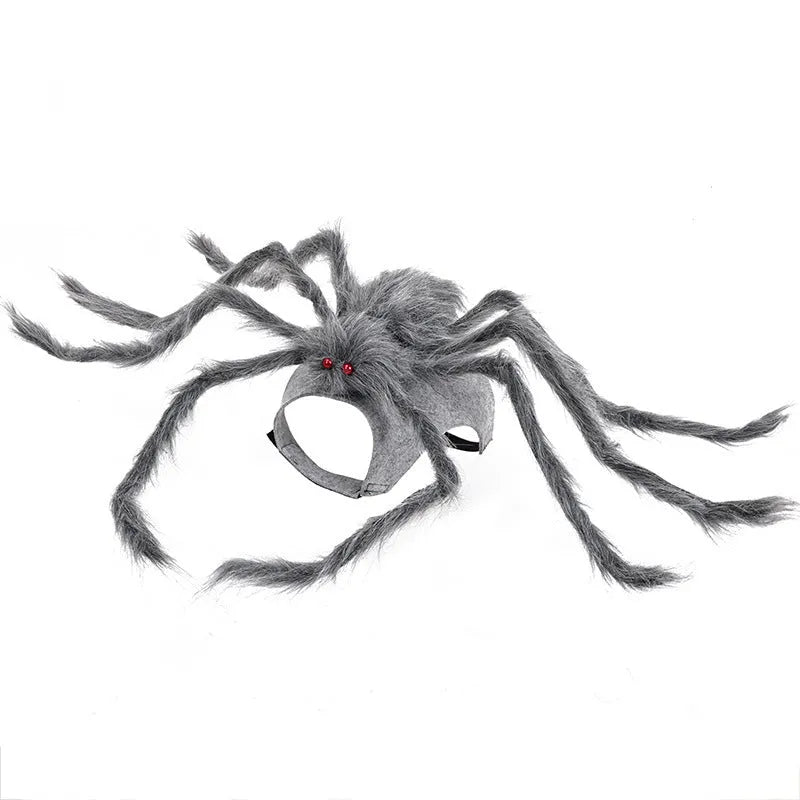Grey spider costume on a dog for Halloween, showing full-body coverage.