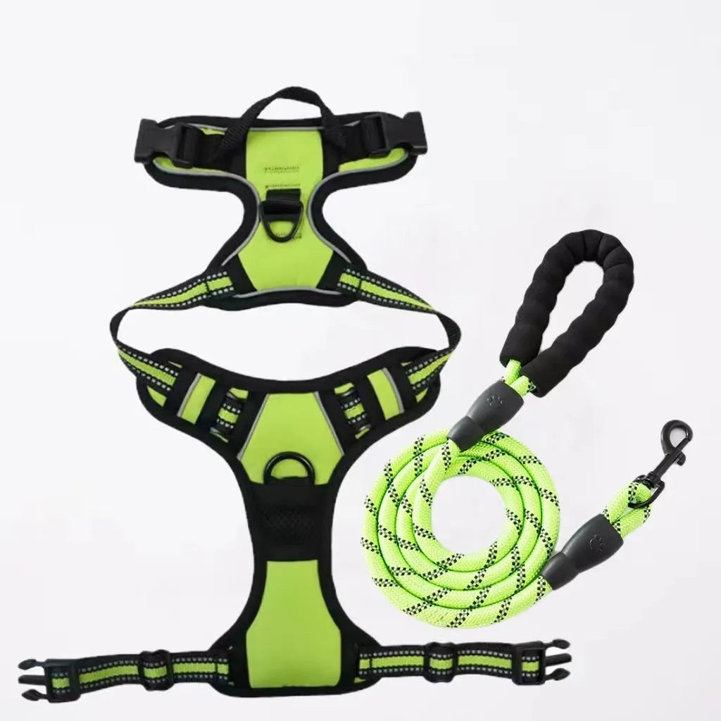 Nylon dog chest and back rope in multiple colours with hand holding loop for walking training
