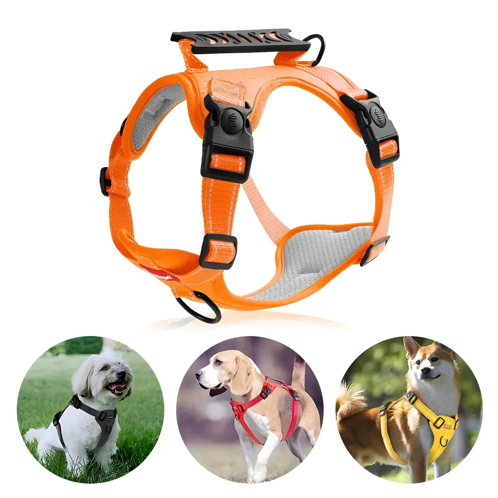 Polyester dog chest harness traction rope in multiple colours with adjustable sizing