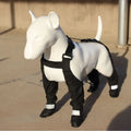 Black polyester dog shoes with non-slip soles for waterproof paw protection