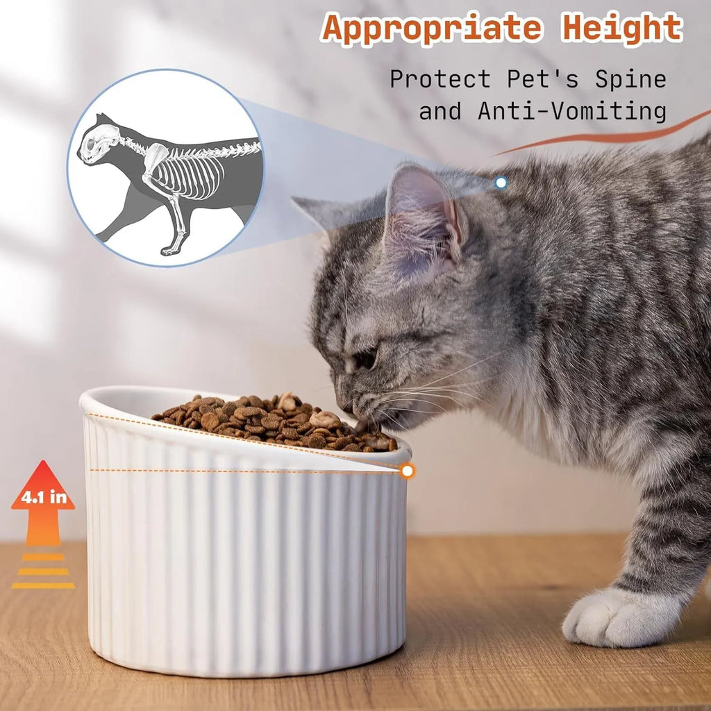 Ceramic elevated cat bowl in light green, showing its tilted, round shape and raised design on a table.