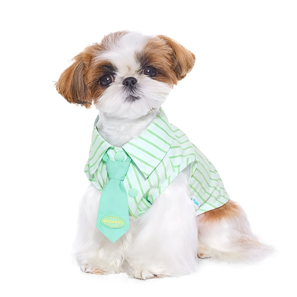 Green 100% cotton thin pet shirt for Teddy Schnauzer dogs, sizes XXS to XXL, casual summer wear