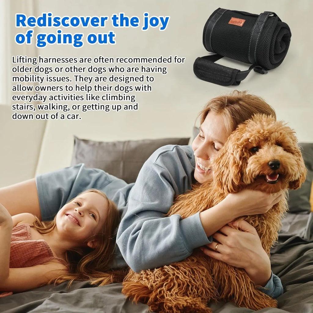 Adjustable dog sling with padded liner supporting a dog's hindquarters, showing reflective straps and a handle.