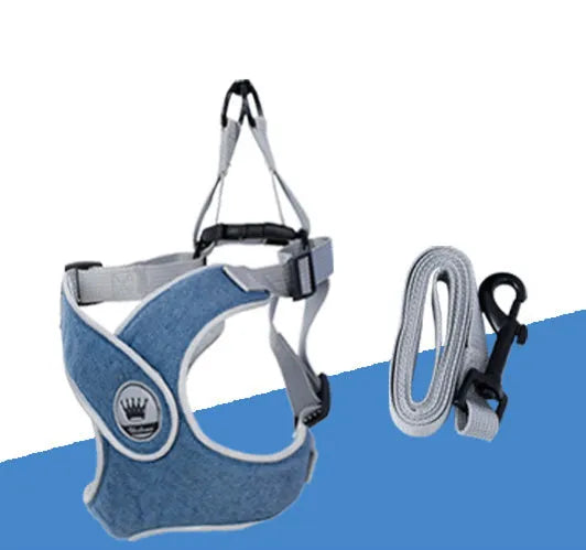 Adjustable dog harness in breathable mesh fabric with metal D-ring and attached leash.