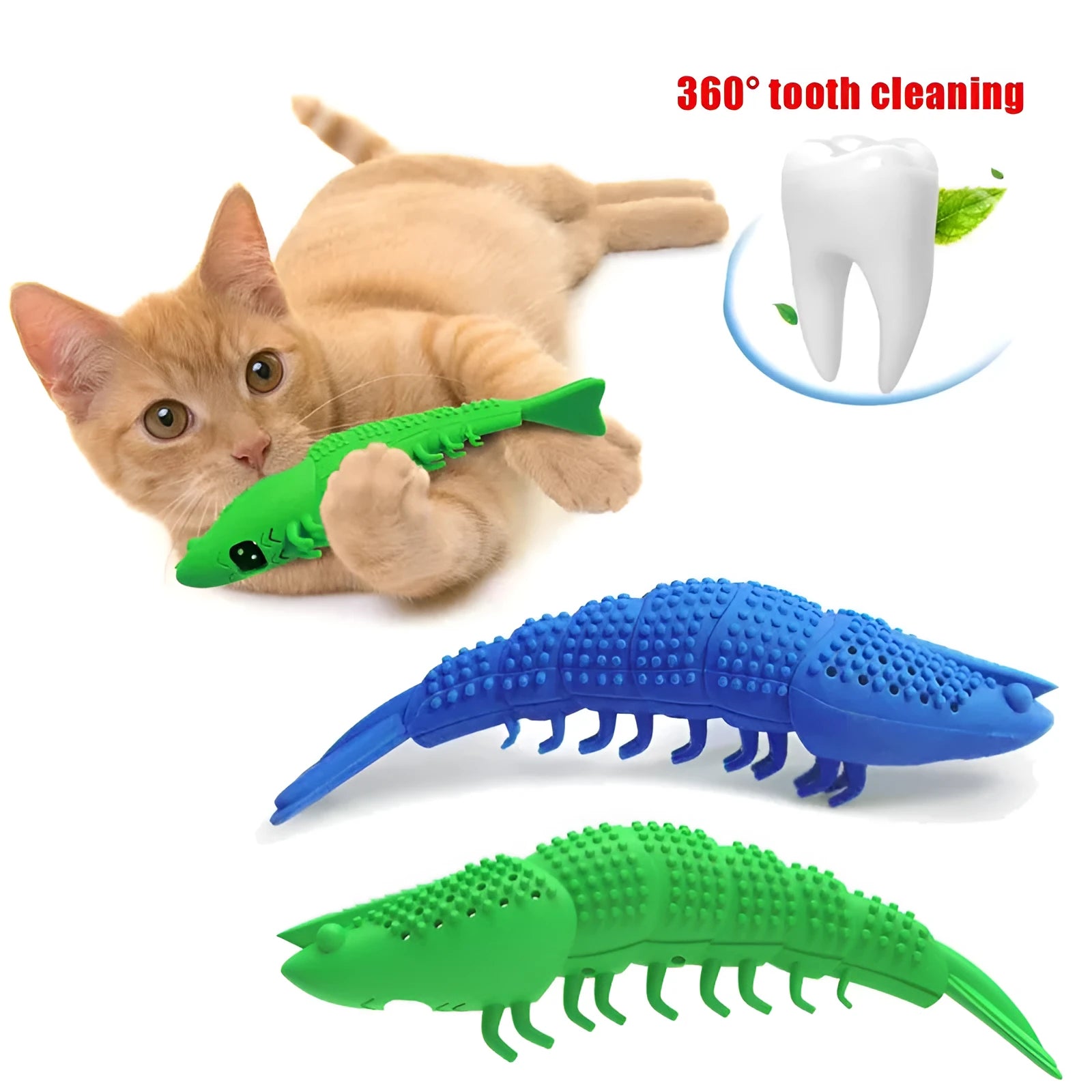 Blue hard rubber cat chew toy with textured surface for dental cleaning containing catnip and bell