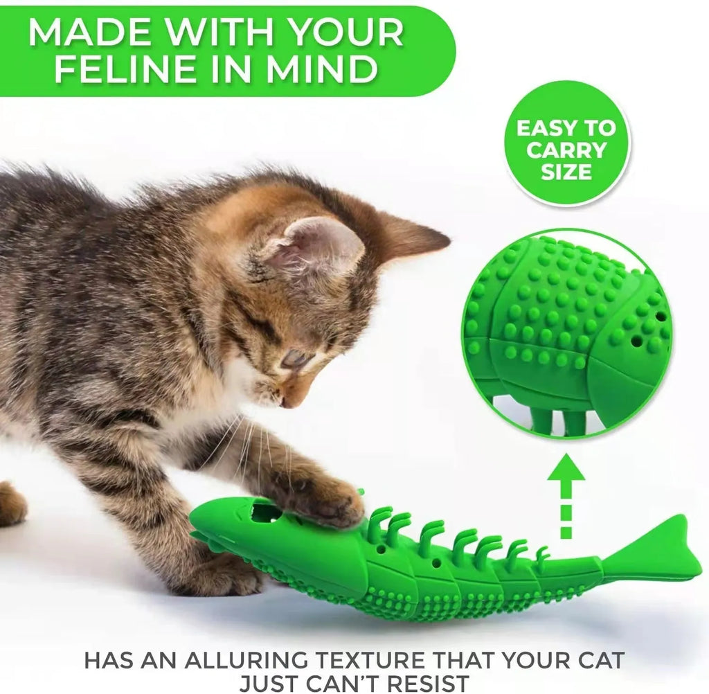 Blue hard rubber cat chew toy with textured surface for dental cleaning containing catnip and bell