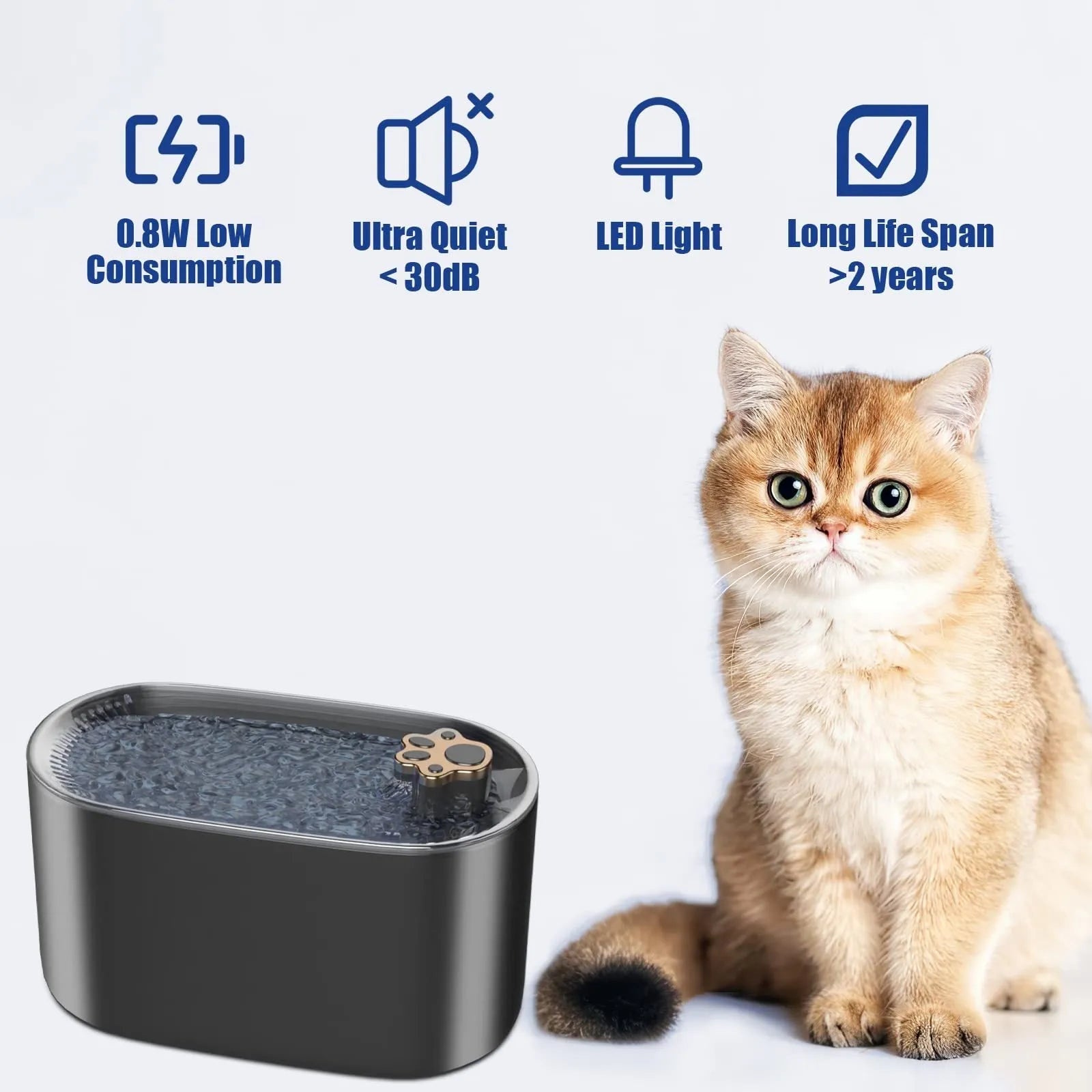 3 litre automatic pet water fountain in Berlin blue colour with LED light and filter system