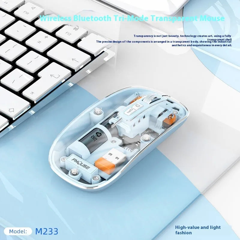 Transparent wireless computer mouse with USB receiver in multiple colour options.