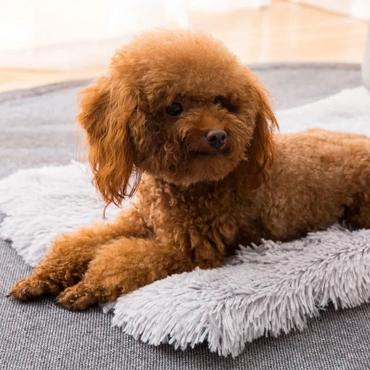Plush pet nest in dark grey with anti-slip base, size M, on a wooden floor