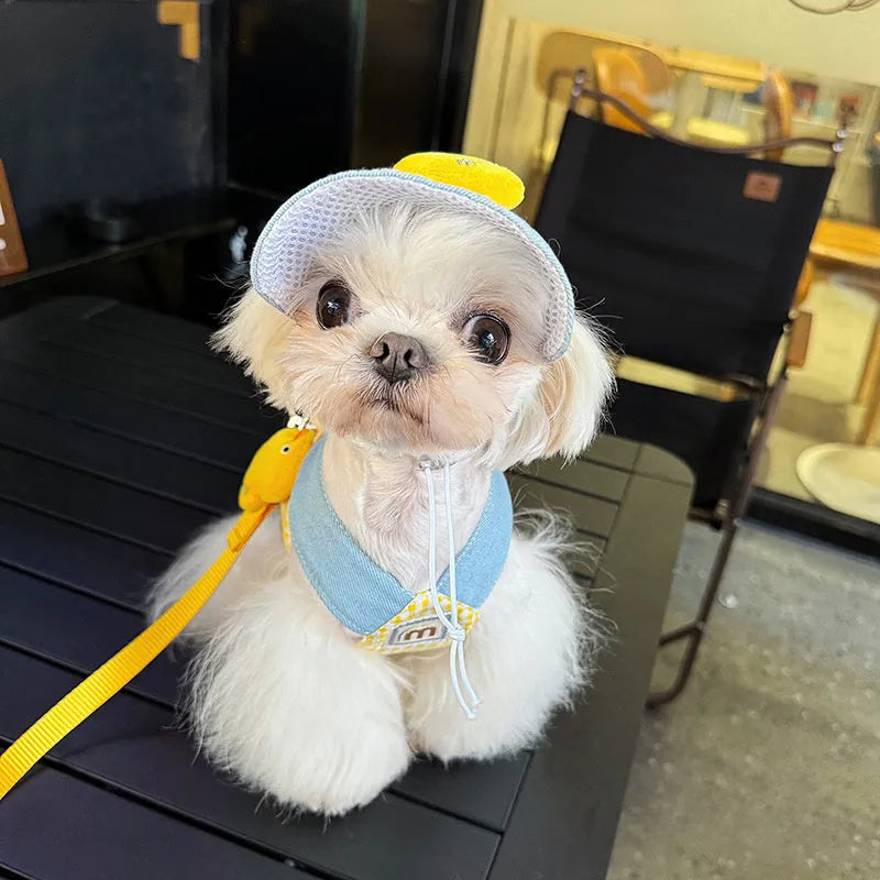 Adjustable pet harness and leash set with cotton cat clothes outfit, cute hat, and wire rope pulling toy