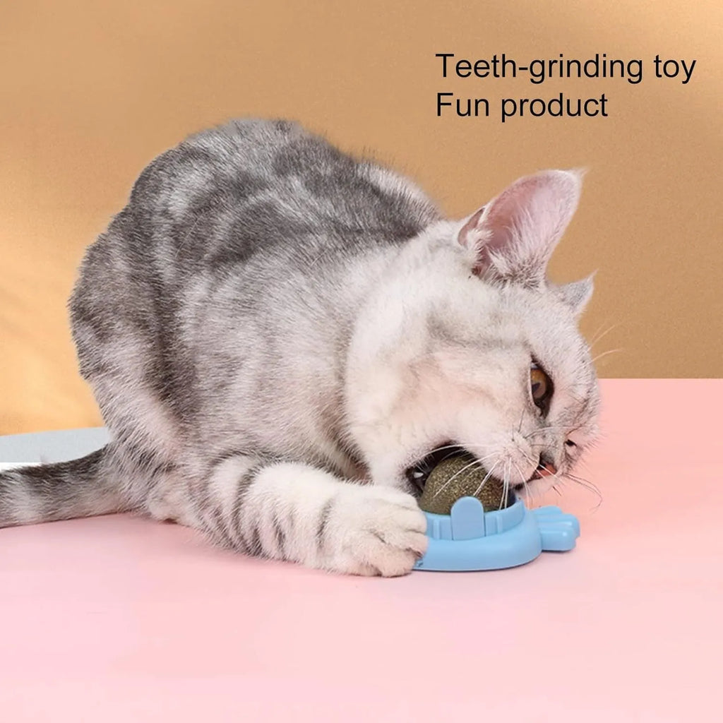 Four blue carrot-shaped catnip balls with self-adhesive stickers and protective cover