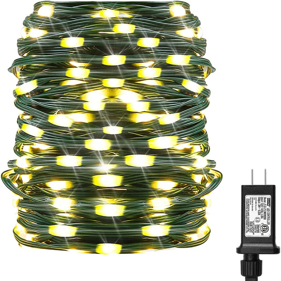 24V low voltage leather wire string light 100m 1000 LEDs with 8-function controller