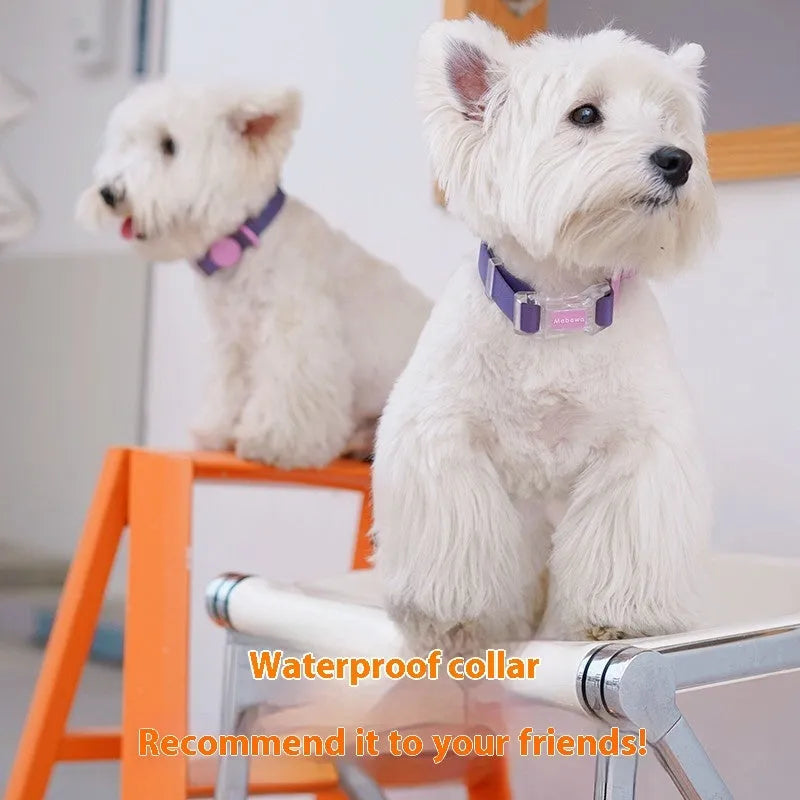 Nylon dog collar and hand holding rope set in smoky gray and lemon yellow colour options on white background
