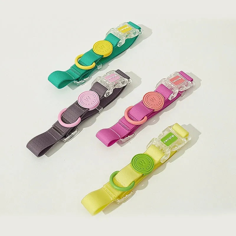 Nylon dog collar and hand holding rope set in smoky gray and lemon yellow colour options on white background