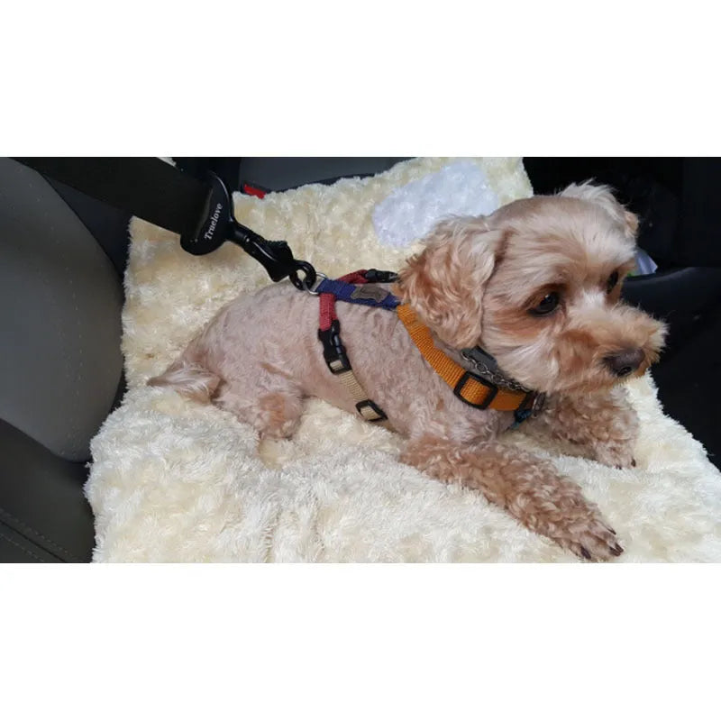 Black aluminium alloy pet car safety buckle with clip on a car seat belt