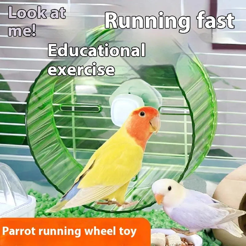 Plastic bird running wheel toy in transparent colour showing 21cm diameter size