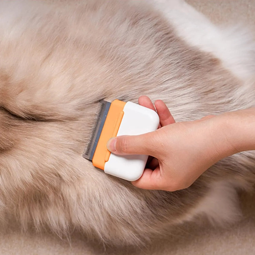 Double-sided blue pet grooming comb for cats and dogs with stainless steel teeth