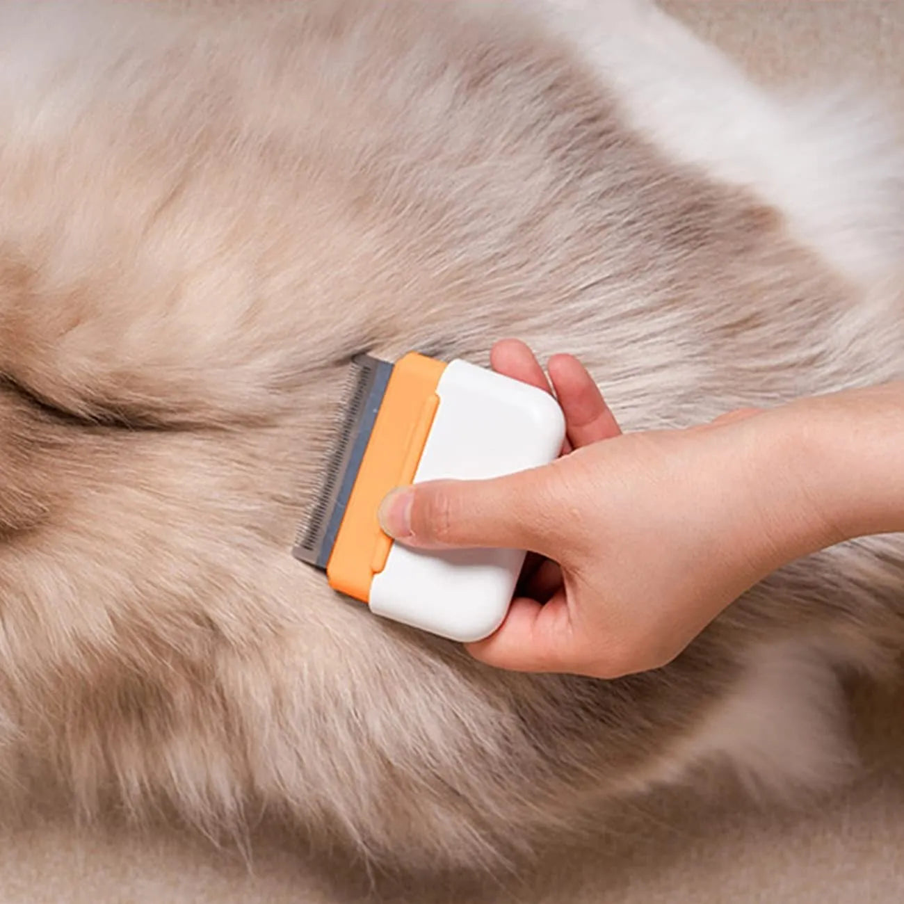 Double-sided blue pet grooming comb for cats and dogs with stainless steel teeth