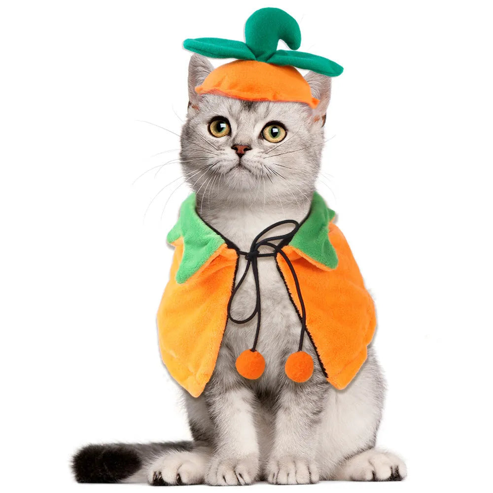 Orange plush pumpkin-themed cloak and hat costume on a dog for Halloween.