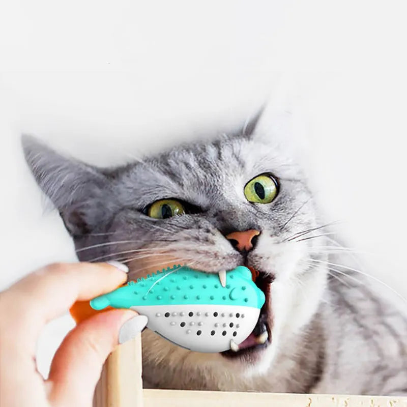 Blue silicone fish-shaped chew and grab toy for cats on a white background.