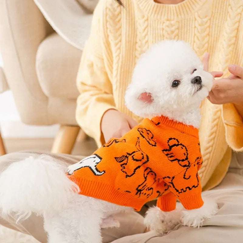 Small dog wearing a blue knitted sweater with charming pattern, warm soft polyacrylic material