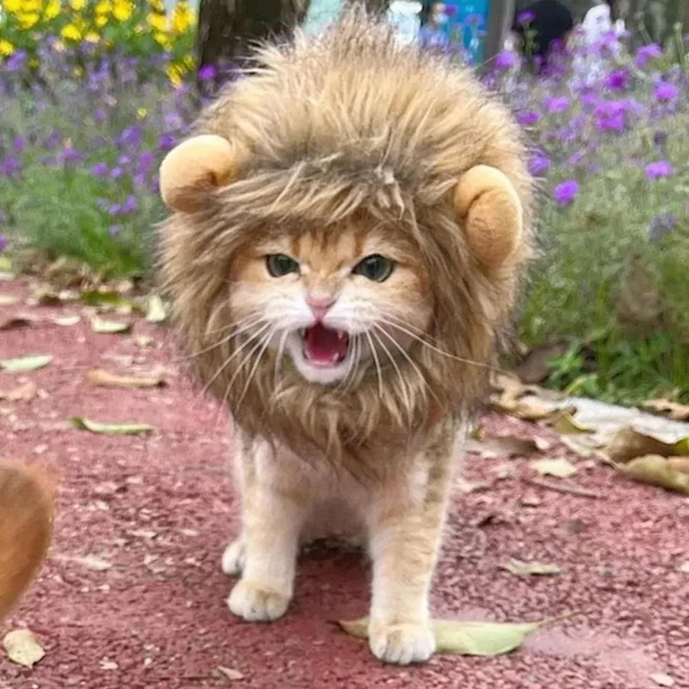 Adjustable lion mane pet wig with elastic band and plush ears for cats and small dogs