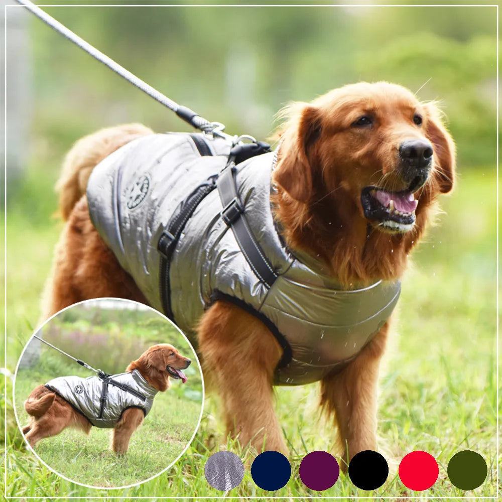 Waterproof dog coat with integrated harness in red, navy blue, or army green, shown on a dog.