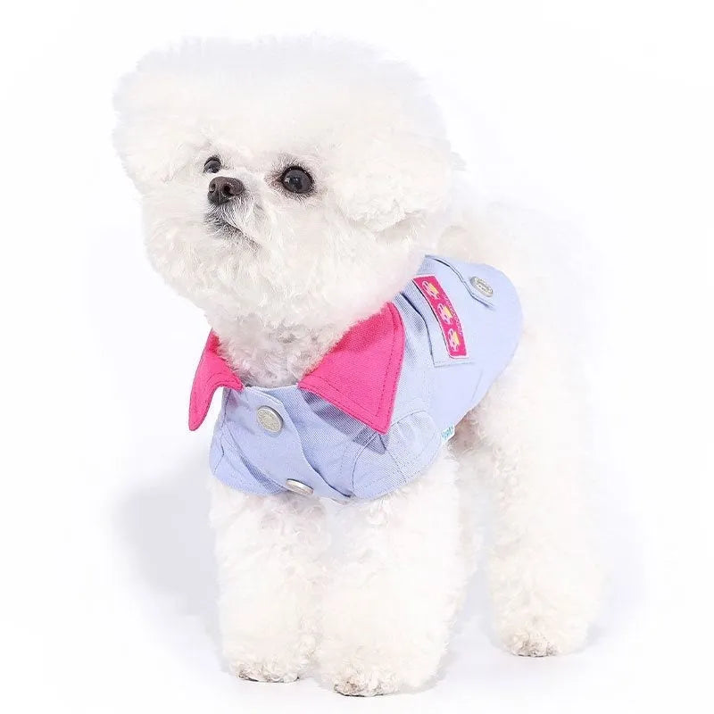 Blue and purple polyester dog vest with integrated traction ring for small breeds