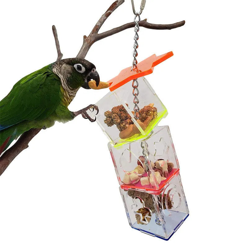 Clear acrylic bird foraging toy measuring 5x5x32cm with food compartments for parrot enrichment