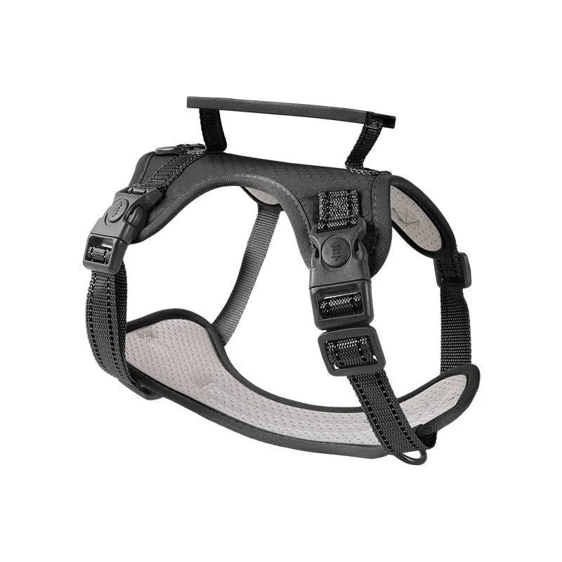 Polyester dog chest harness traction rope in multiple colours with adjustable sizing