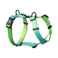 Gradient colour dog chest and back harness made from polyester fabric.