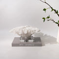Resin coral ornament in coral colour A167 measuring 34x31x15cm on a desk