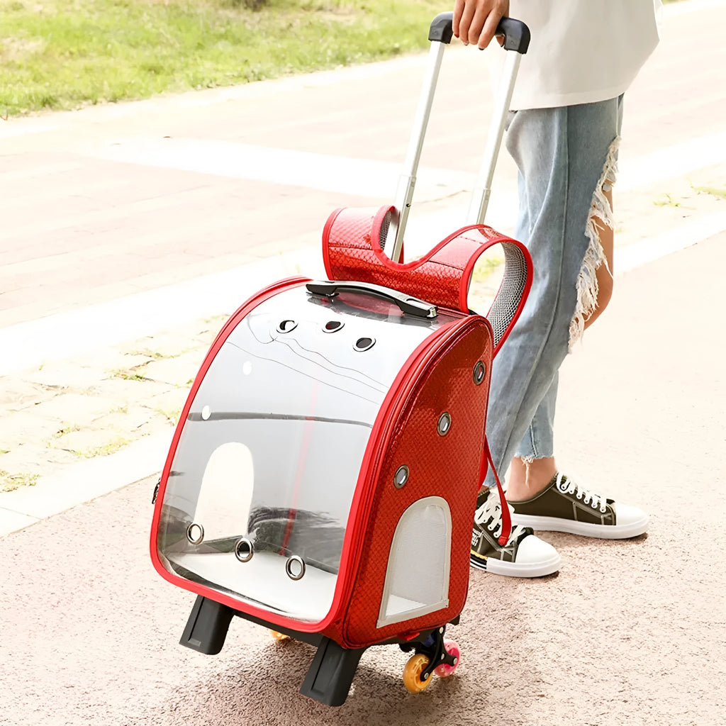 Transparent pet trolley carrier with folding design for small dogs and cats