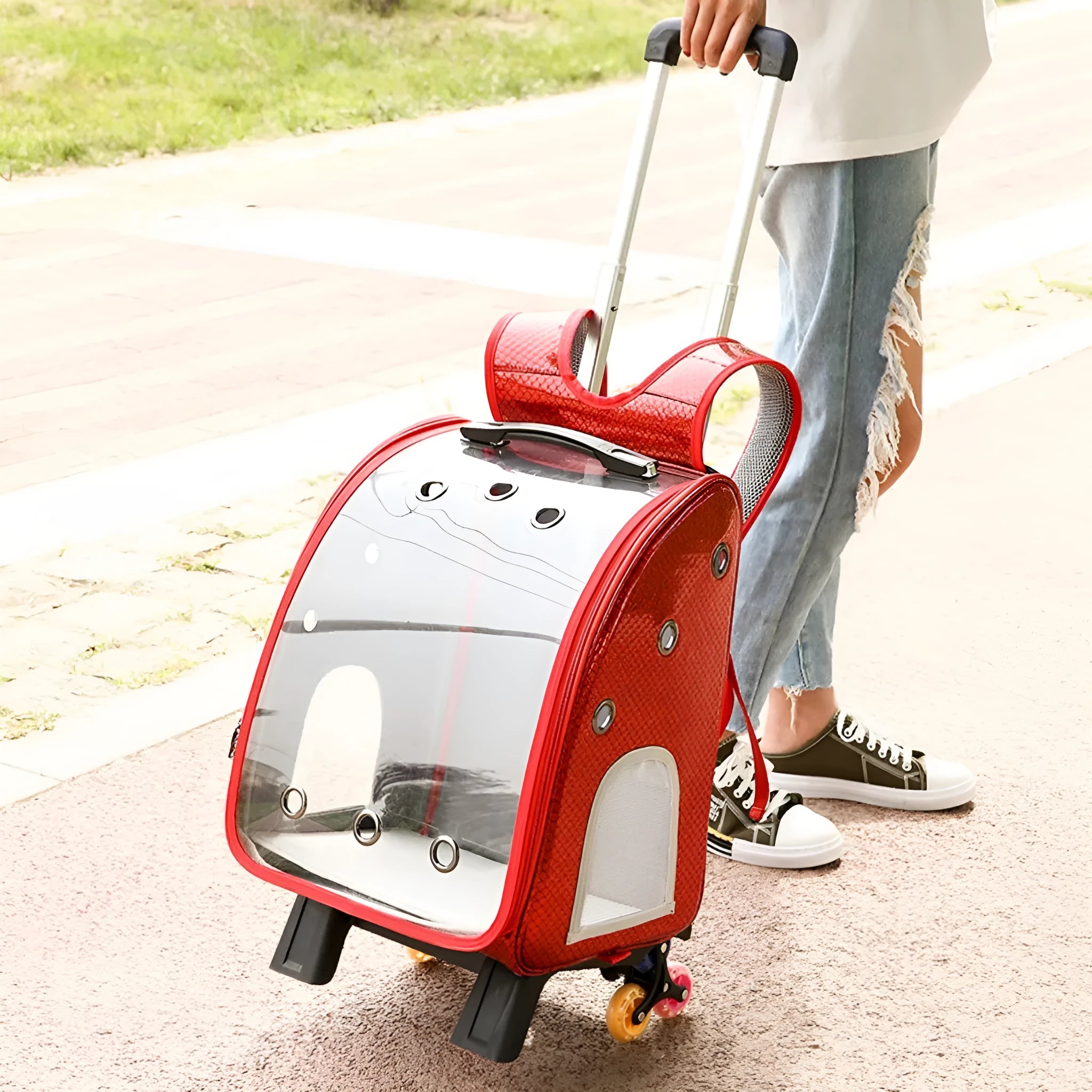 Transparent pet trolley carrier with folding design for small dogs and cats